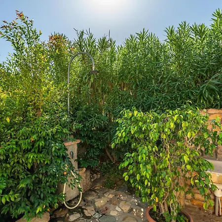Bouganville Cala Sinzias