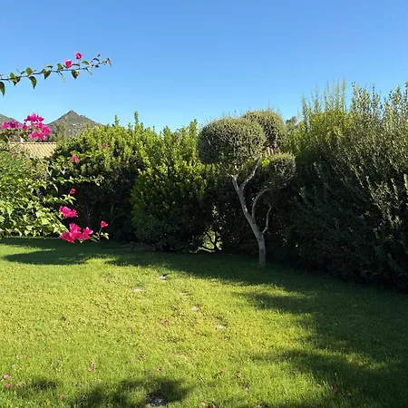 Bouganville Cala Sinzias Кастиадас